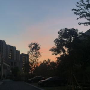 国产成人午夜福利电影在线观看
